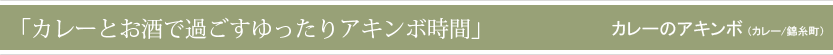 「カレーとお酒で過ごすゆったりアキンボ時間」（カレーのアキンボ）