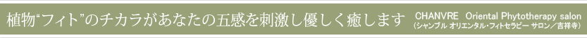 植物“フィト”のチカラがあなたの五感を刺激し優しく癒します（シャンブル）